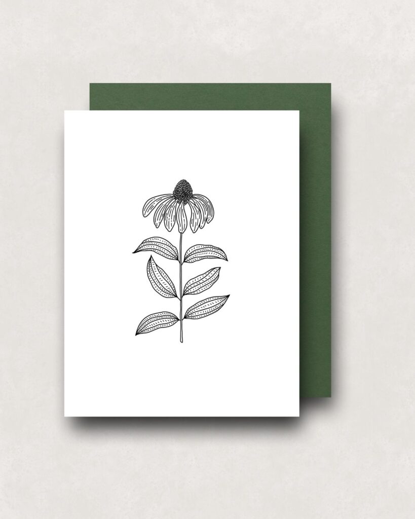 Notecard - Coneflower