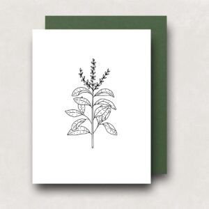 Notecard - Basil