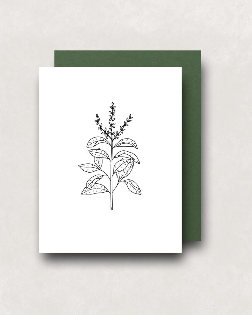 Notecard - Basil