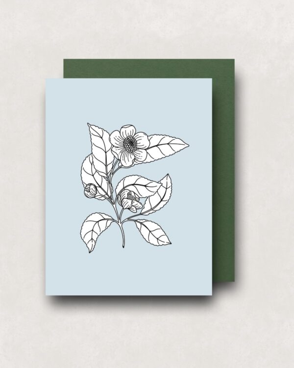 Notecard - Tea Plant