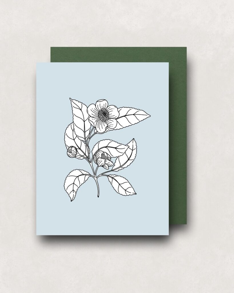 Notecard - Tea Plant