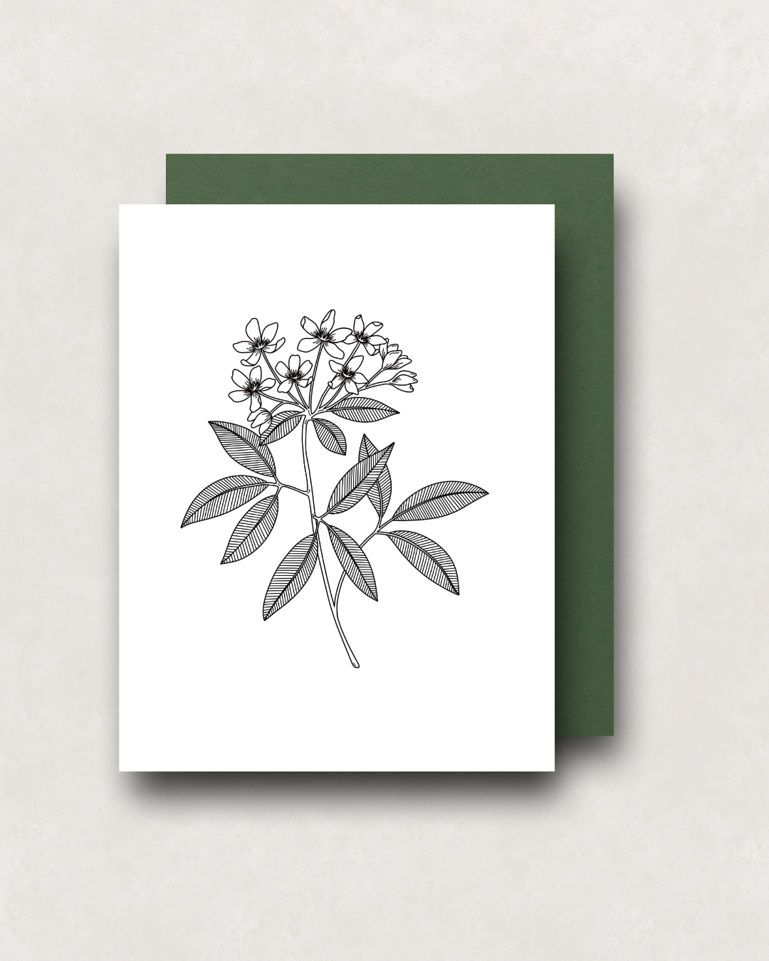 Notecard - Mexican Orange Blossom