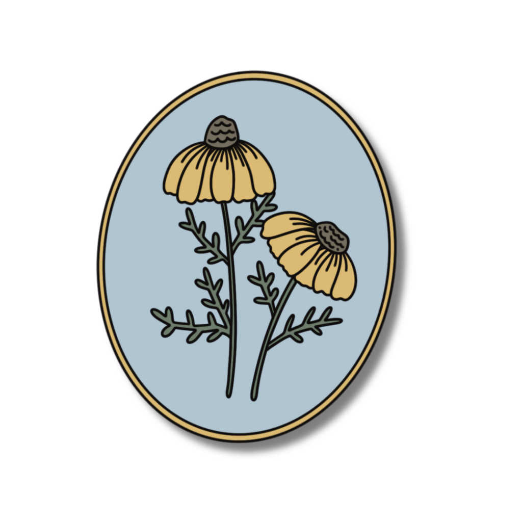 Sticker - Cone Flower
